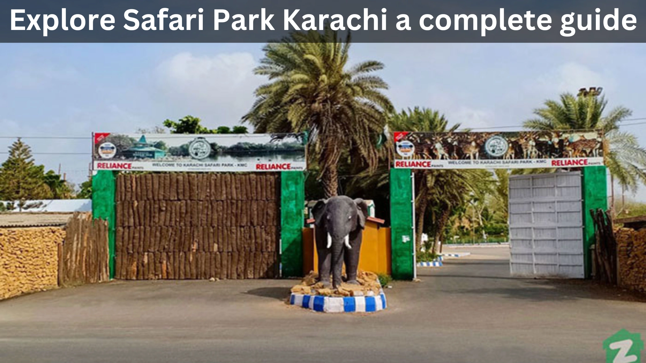 All you need to know about Safari Park Karachi
