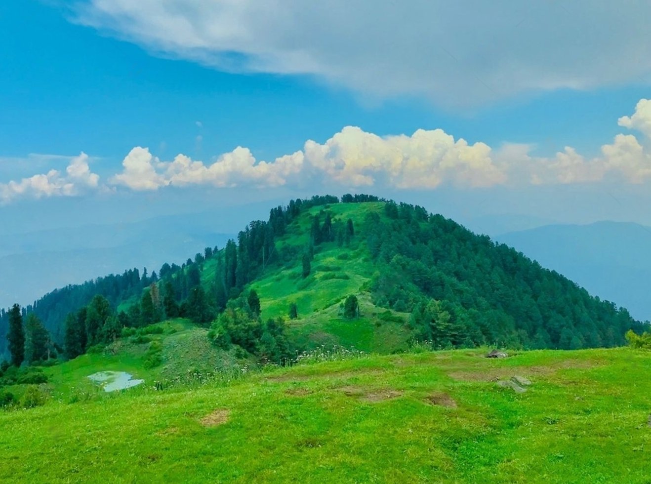 Mushkpuri top